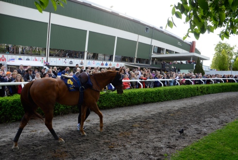 ledvolt täby galopp tribute day