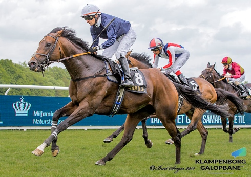 guerre gråberg Jockeyclub Cup (L)