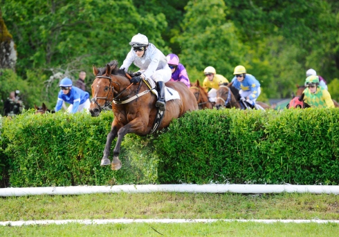 hinder 5 strömsholm steeplechase