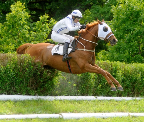 hinder 16 strömsholm grand national