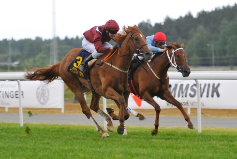 pocahontas face george baker dianalöpning 2016