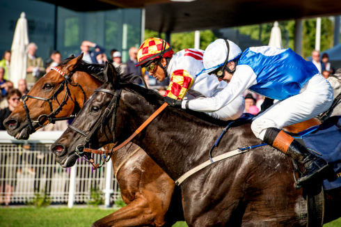 slutstrid stockholms stora pris coprah amie noire hästar galopp