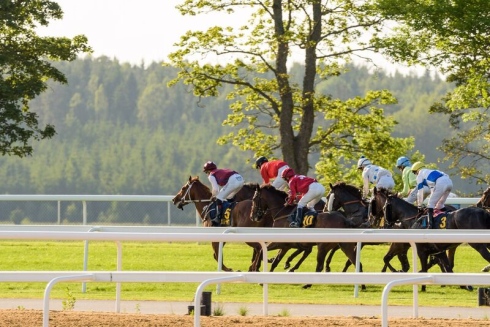 galopp hästar bro park square