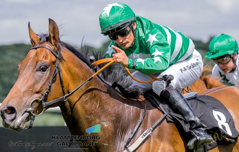Karmastrikesback Dansk Breeders Cup square
