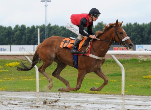 Glorias Express