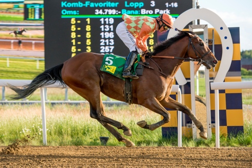 Duke Derby