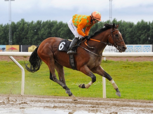 Duke Derby