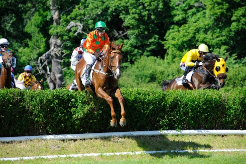 rockinger strömsholm grand national steeplechase