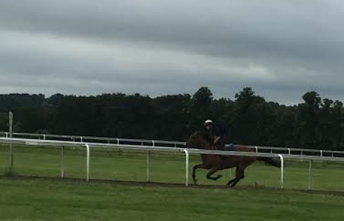 träning newmarket