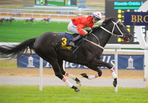 arabda gråberg lanwades stud stakes 2016