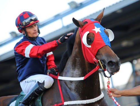 Amadeus Sprint