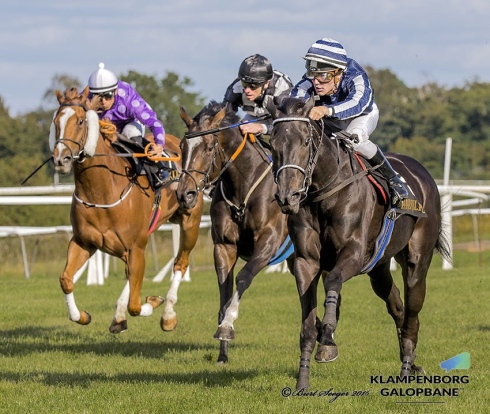 elektra art sceptre stakes 2016 oliver wilson