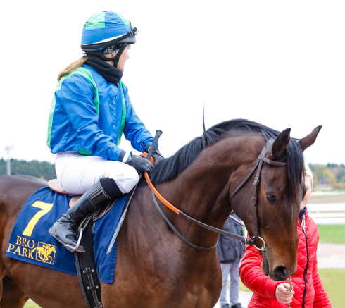qwinners shogun