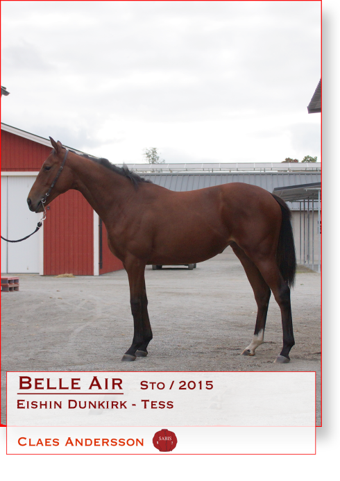 Belle Air