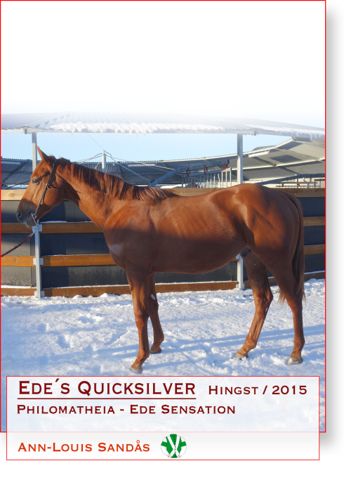 ede's quicksilver