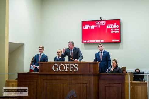Goffs UK sale