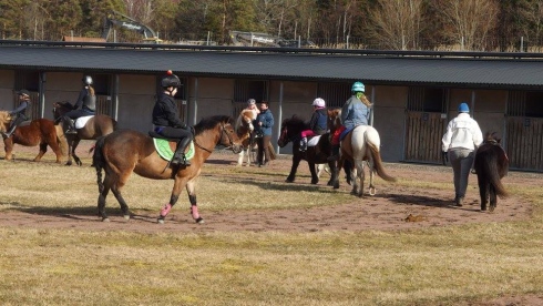 göteborg ponnygalopp träningstävling