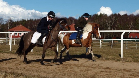 ponnygalopp göteborg träningstävling
