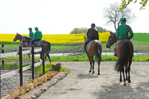 stall jardby