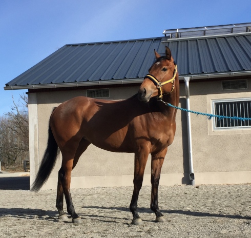 philomena