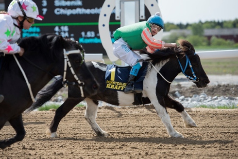 ponnygalopp bro park ti ta tovenaar amanda brolin