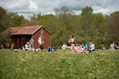 miljöbild bro park familjedag