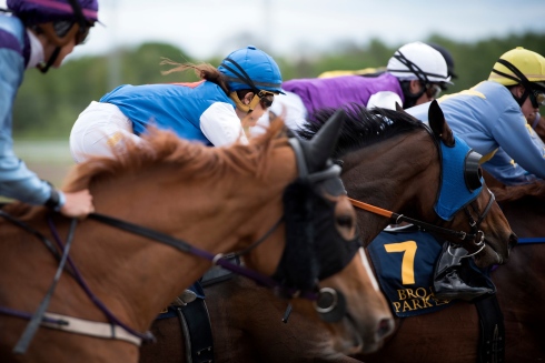 galopp fält