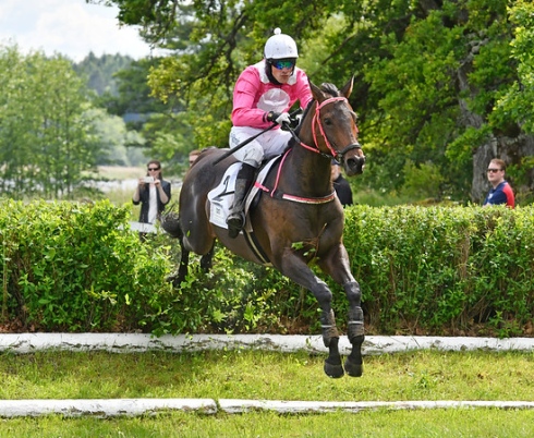 al bustan strömsholm grand national 2017