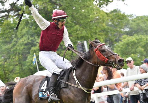 calvados niklas lovén champion hurdle