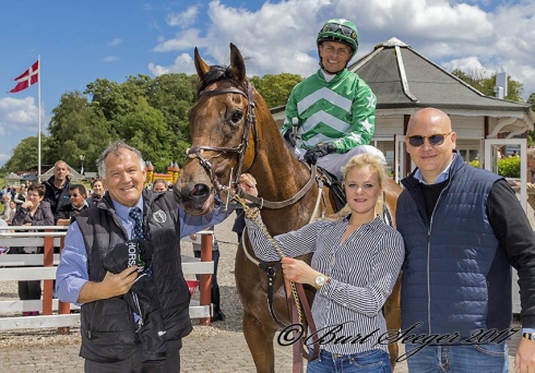 suspicious mind dansk breeders' cup 2017