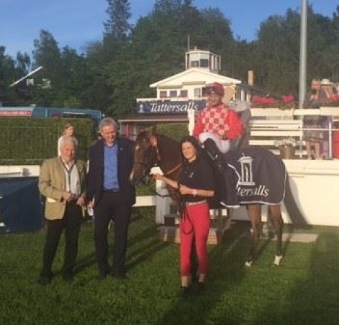 high as a kite 1000 guineas norge