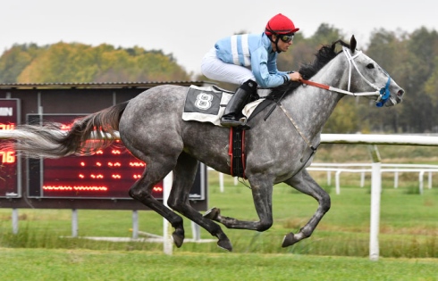 Ruedargent