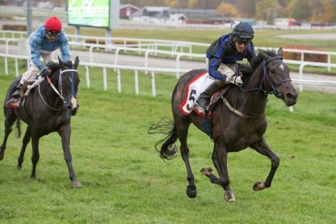 speciale di giorno square norsk oaks