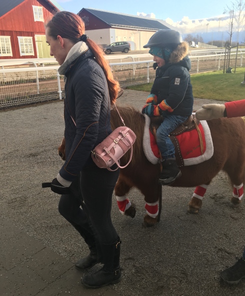 ponnyridning julmarknad