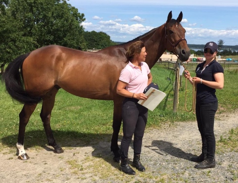 freckenham ted victoria carlebäck köper från Jessica vadst