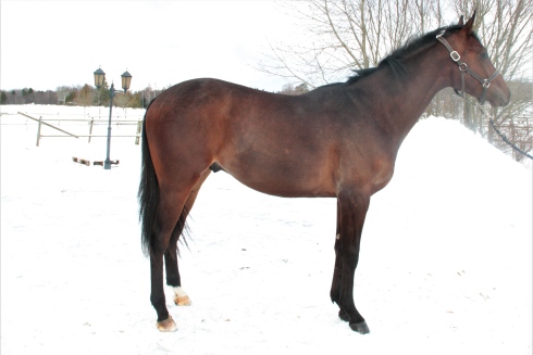 Ede's Garrinchi