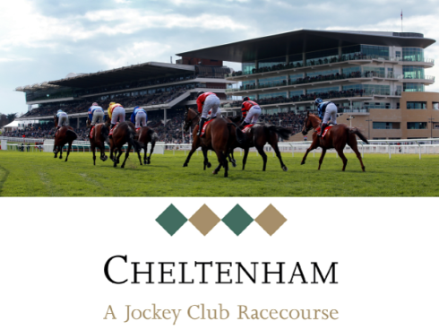 cheltenham festival square