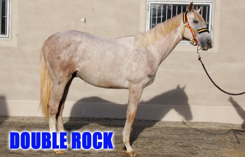 double rock