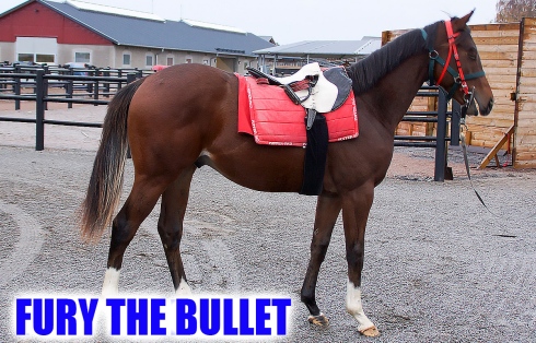 fury the bullet