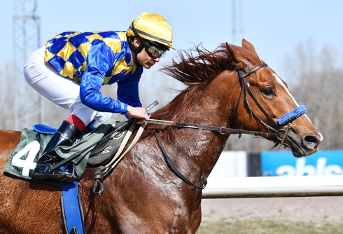 Mad Sovereign