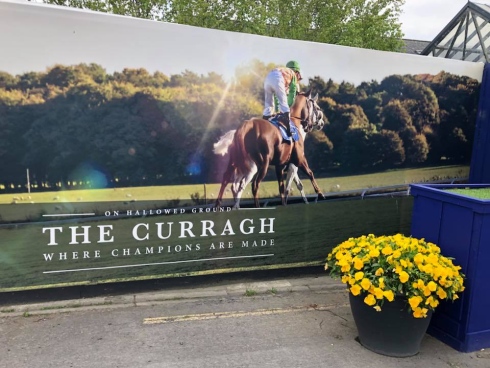 The curragh