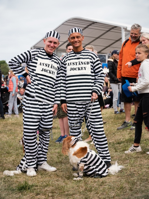gråberg janetzky nationaldagsgalopp match your dog