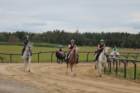 ridning ponnyläger ponnygaloppläger