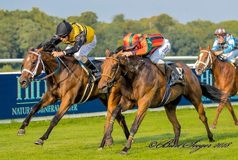 aperola produce stakes