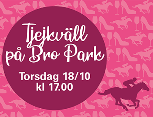 tjejkväll bro park
