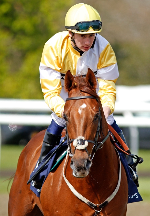 corinthia knight