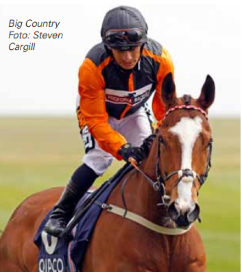 big country