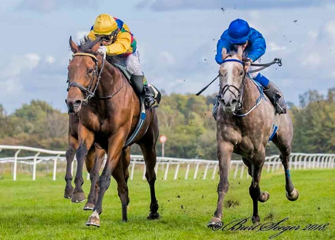 steinway dansk st leger 2018
