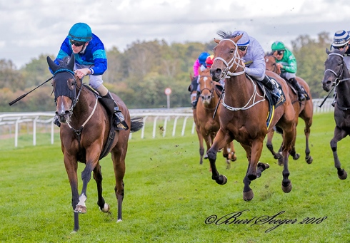 spicy mix sceptre stakes 2018