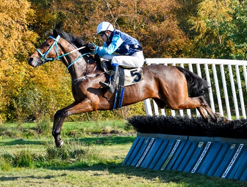 Accelerate hopp
